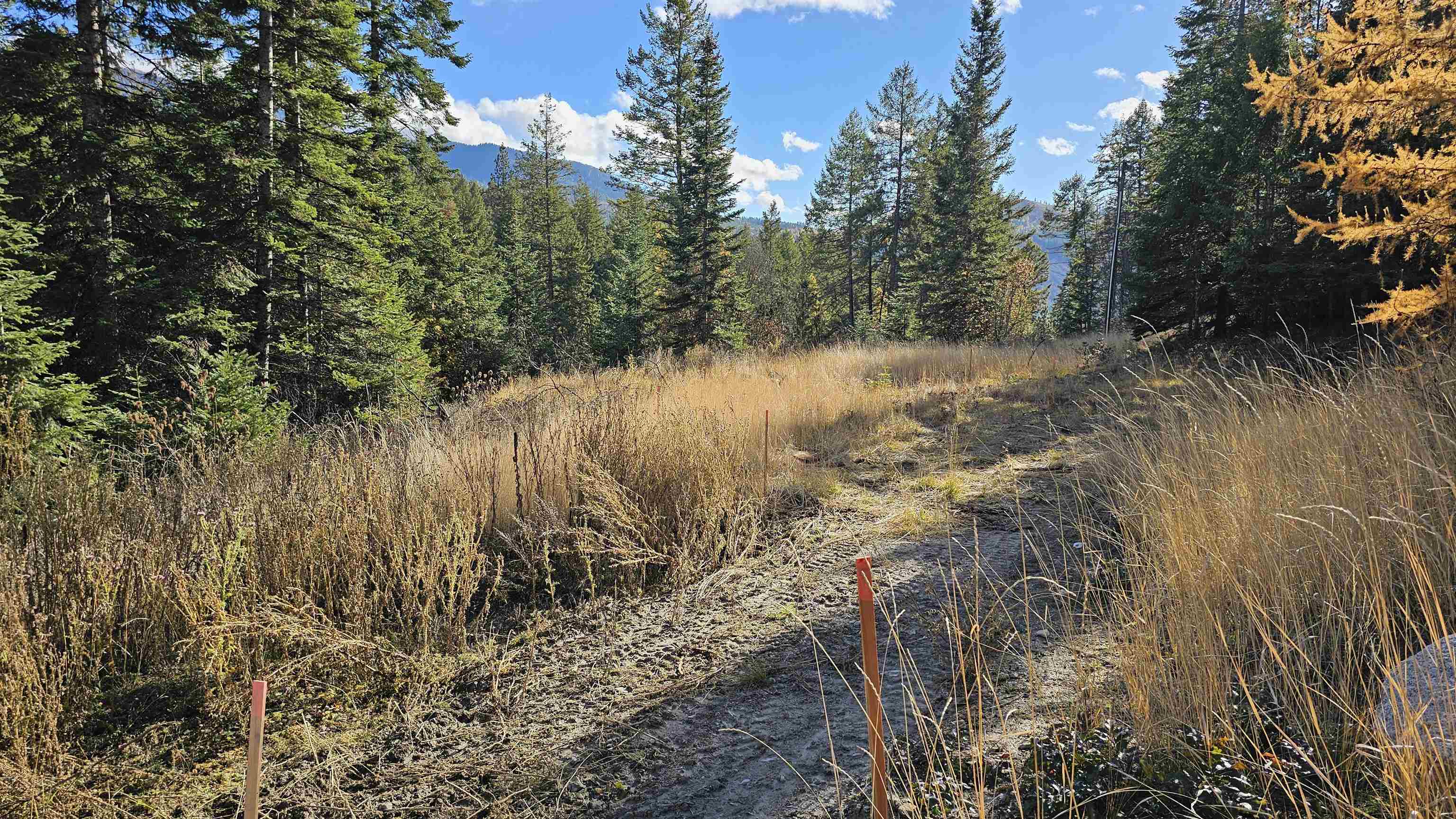 717 B Finley Gulch Road Colville, WA 99114 - Photo 1 of 16