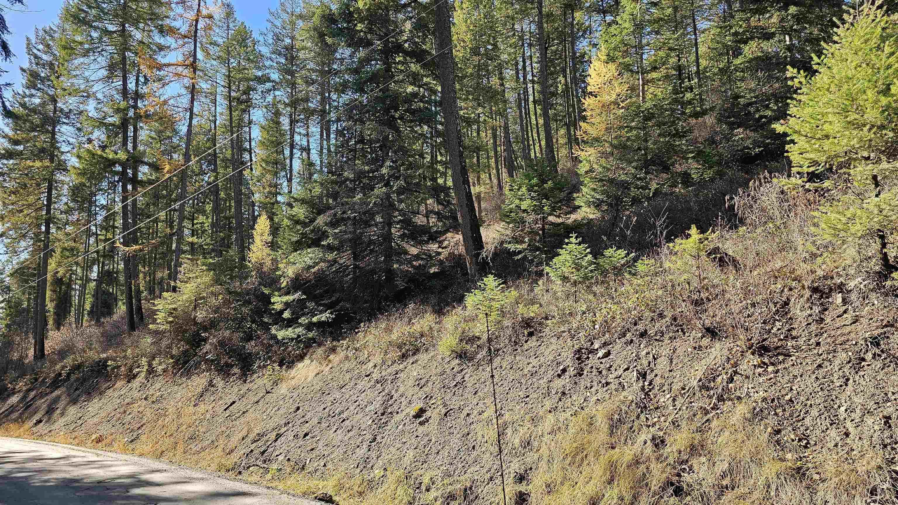717 B Finley Gulch Road Colville, WA 99114 - Photo 11 of 16