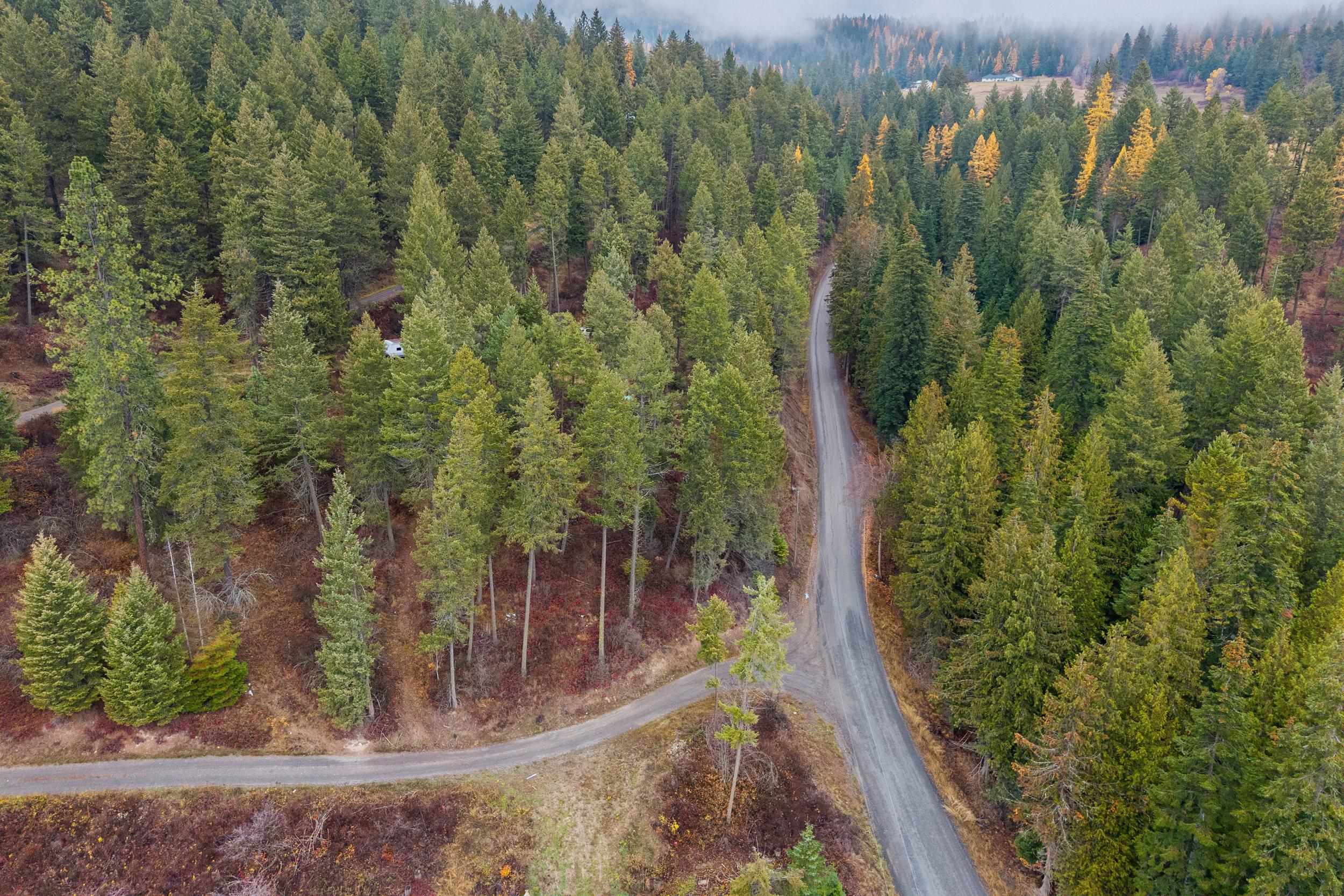 717 B Finley Gulch Road Colville, WA 99114 - Photo 13 of 16