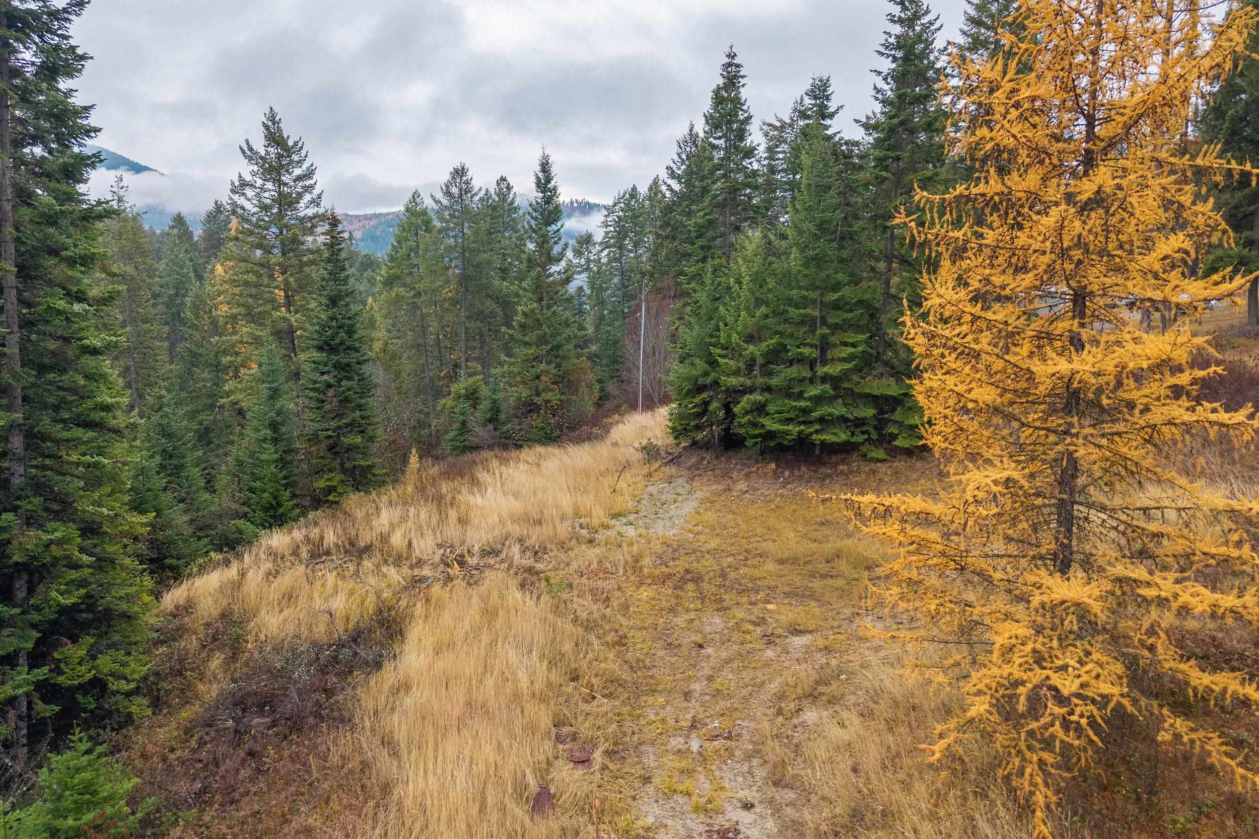 717 B Finley Gulch Road Colville, WA 99114 - Photo 15 of 16