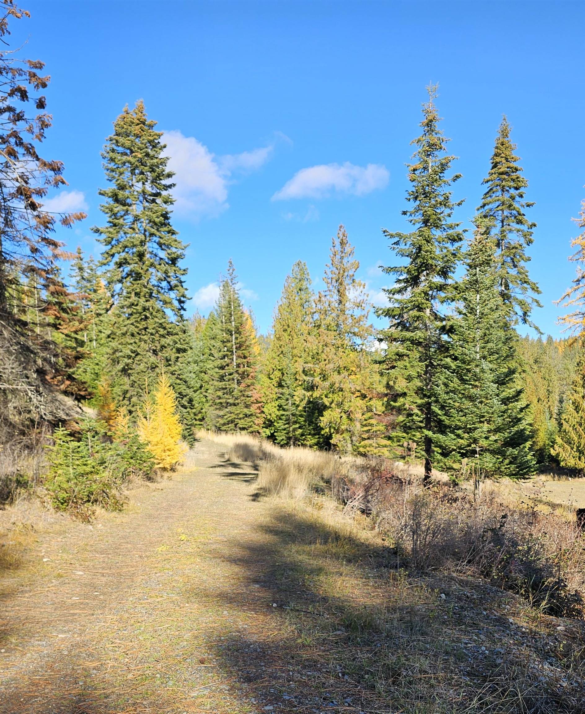 717 B Finley Gulch Road Colville, WA 99114 - Photo 2 of 16