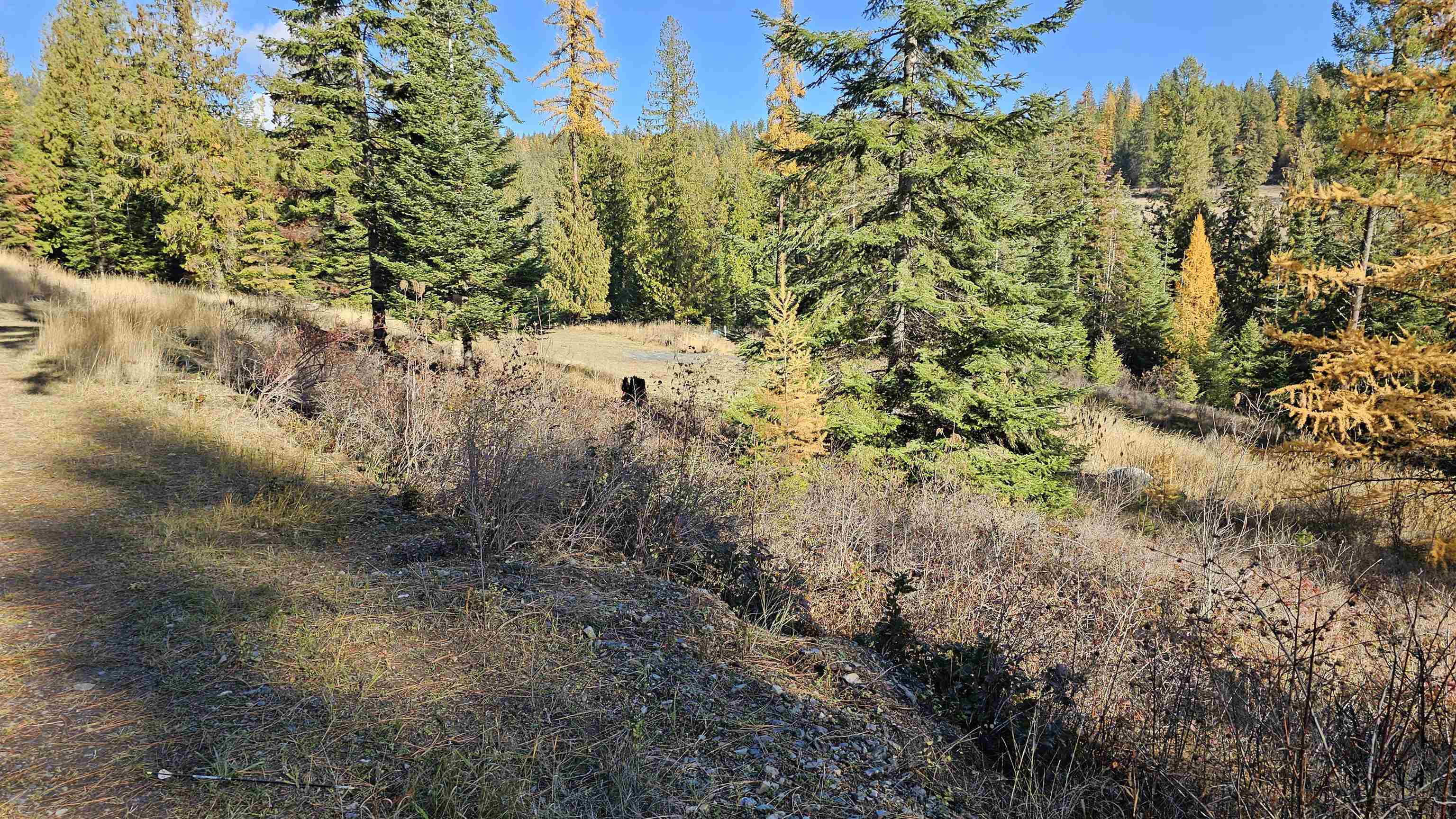 717 B Finley Gulch Road Colville, WA 99114 - Photo 3 of 16