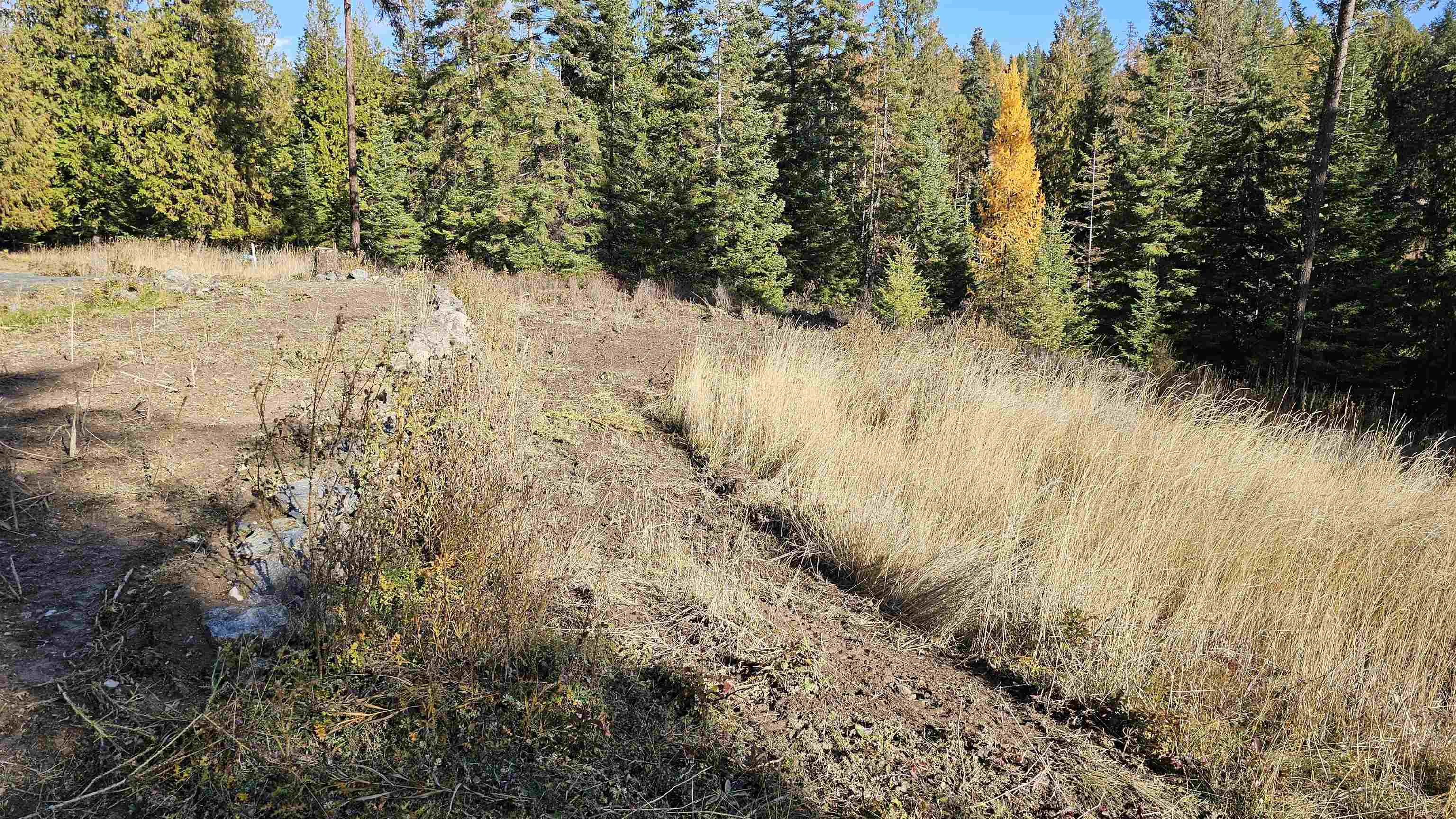 717 B Finley Gulch Road Colville, WA 99114 - Photo 4 of 16