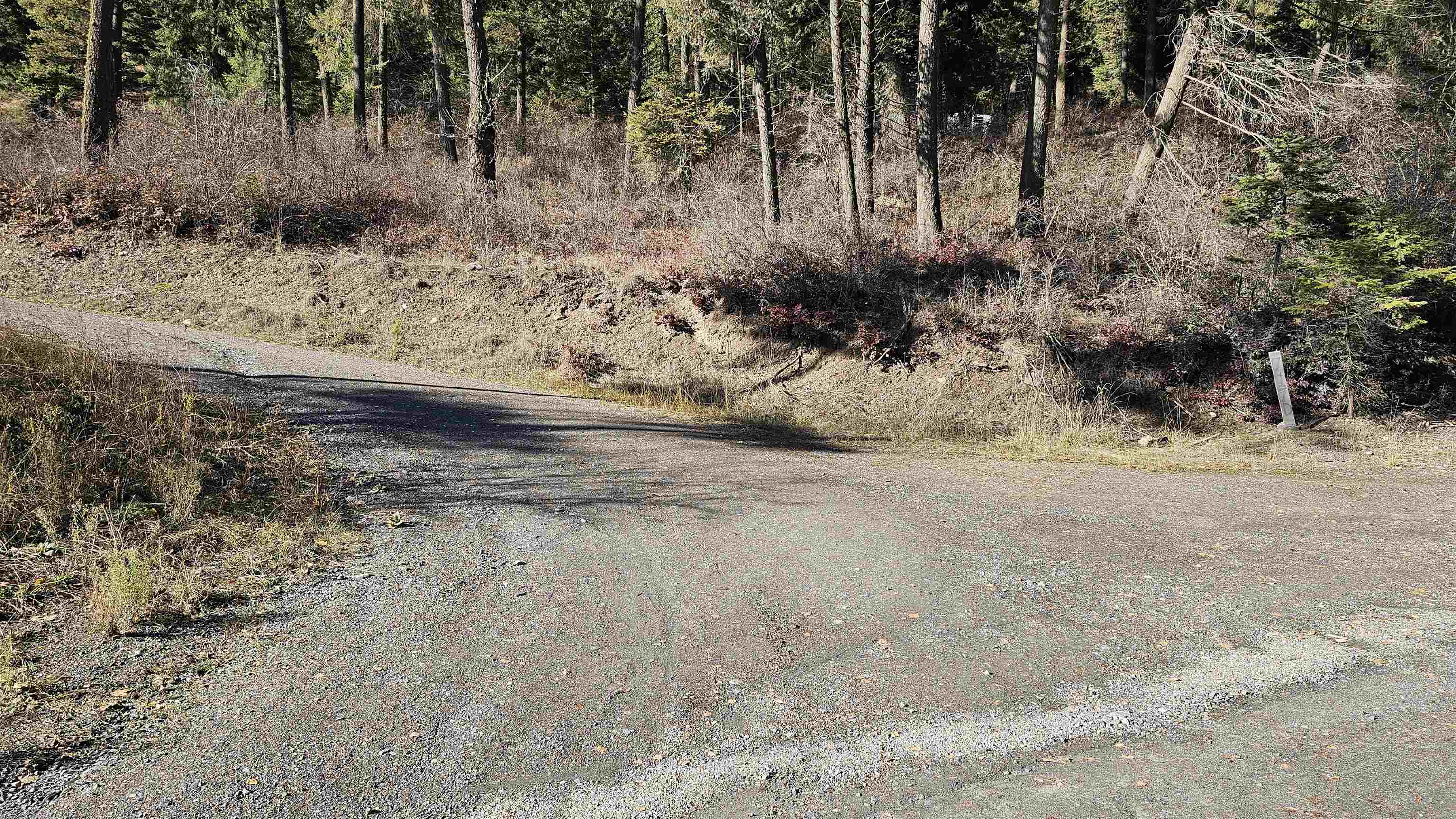 717 B Finley Gulch Road Colville, WA 99114 - Photo 5 of 16