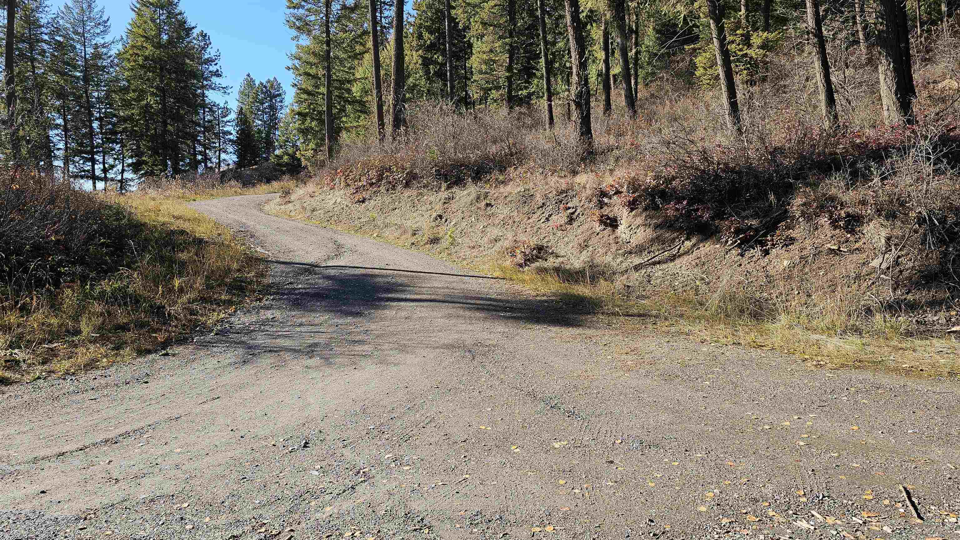 717 B Finley Gulch Road Colville, WA 99114 - Photo 6 of 16