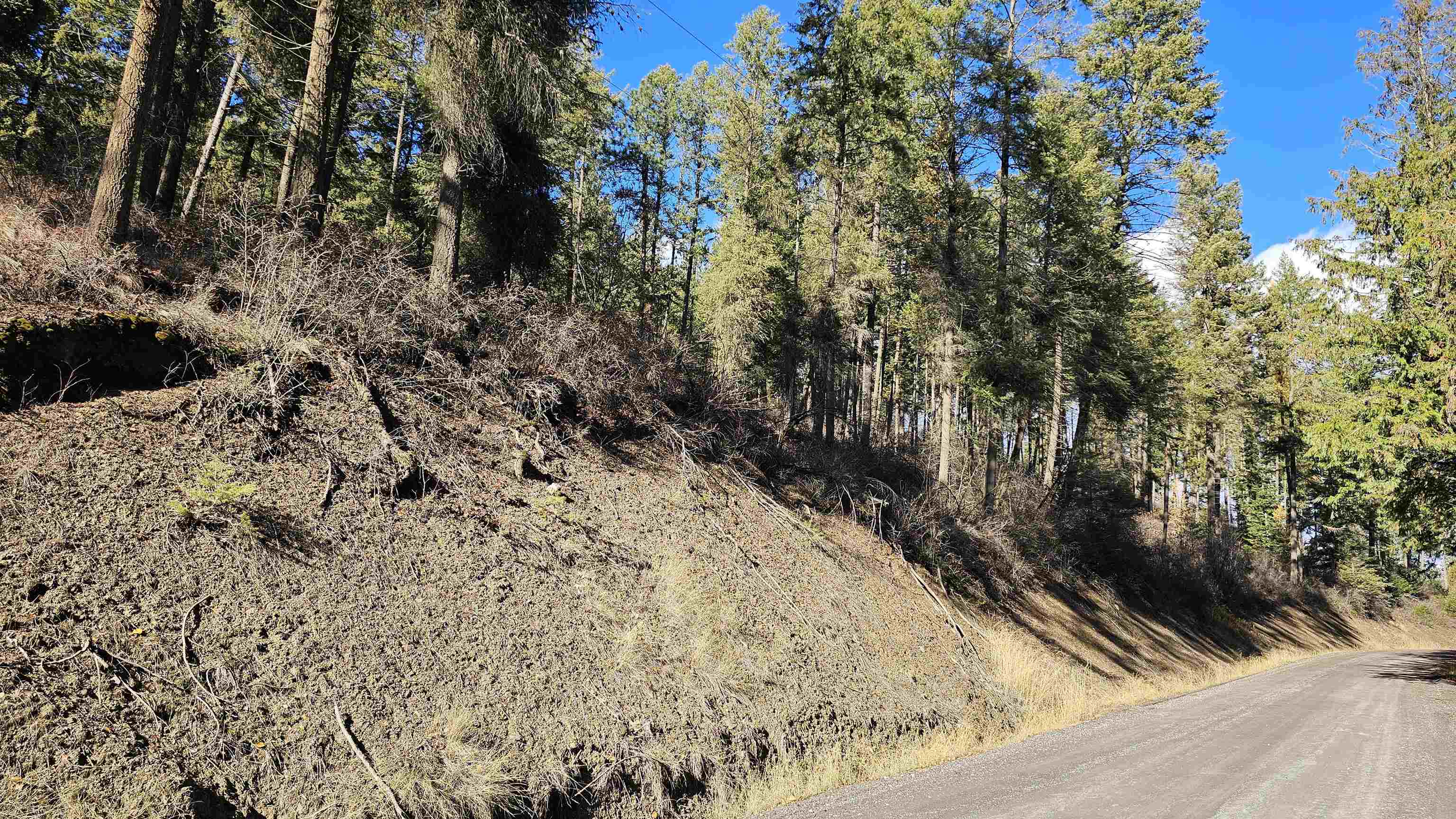 717 B Finley Gulch Road Colville, WA 99114 - Photo 7 of 16