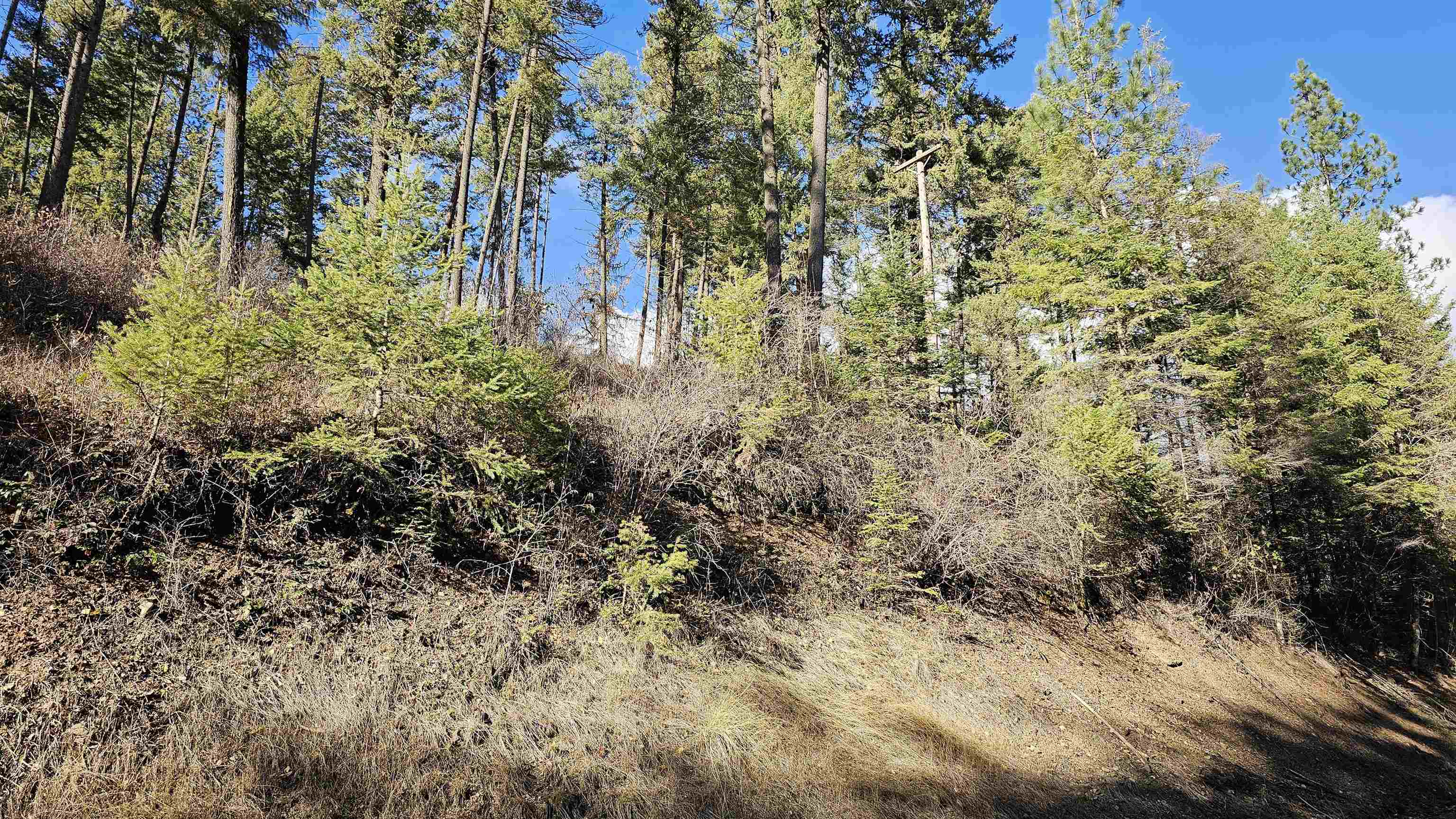 717 B Finley Gulch Road Colville, WA 99114 - Photo 8 of 16