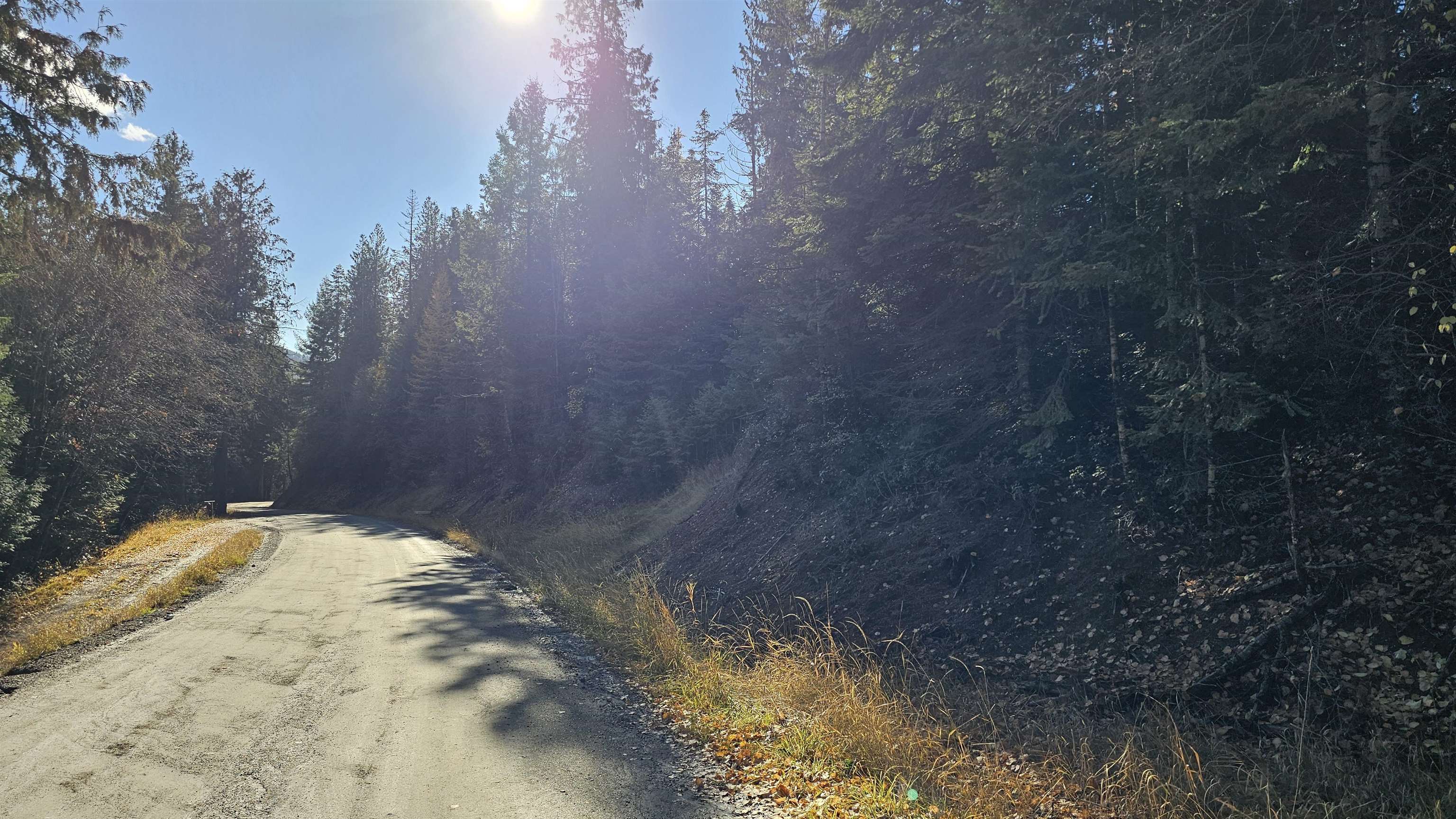 717 B Finley Gulch Road Colville, WA 99114 - Photo 9 of 16