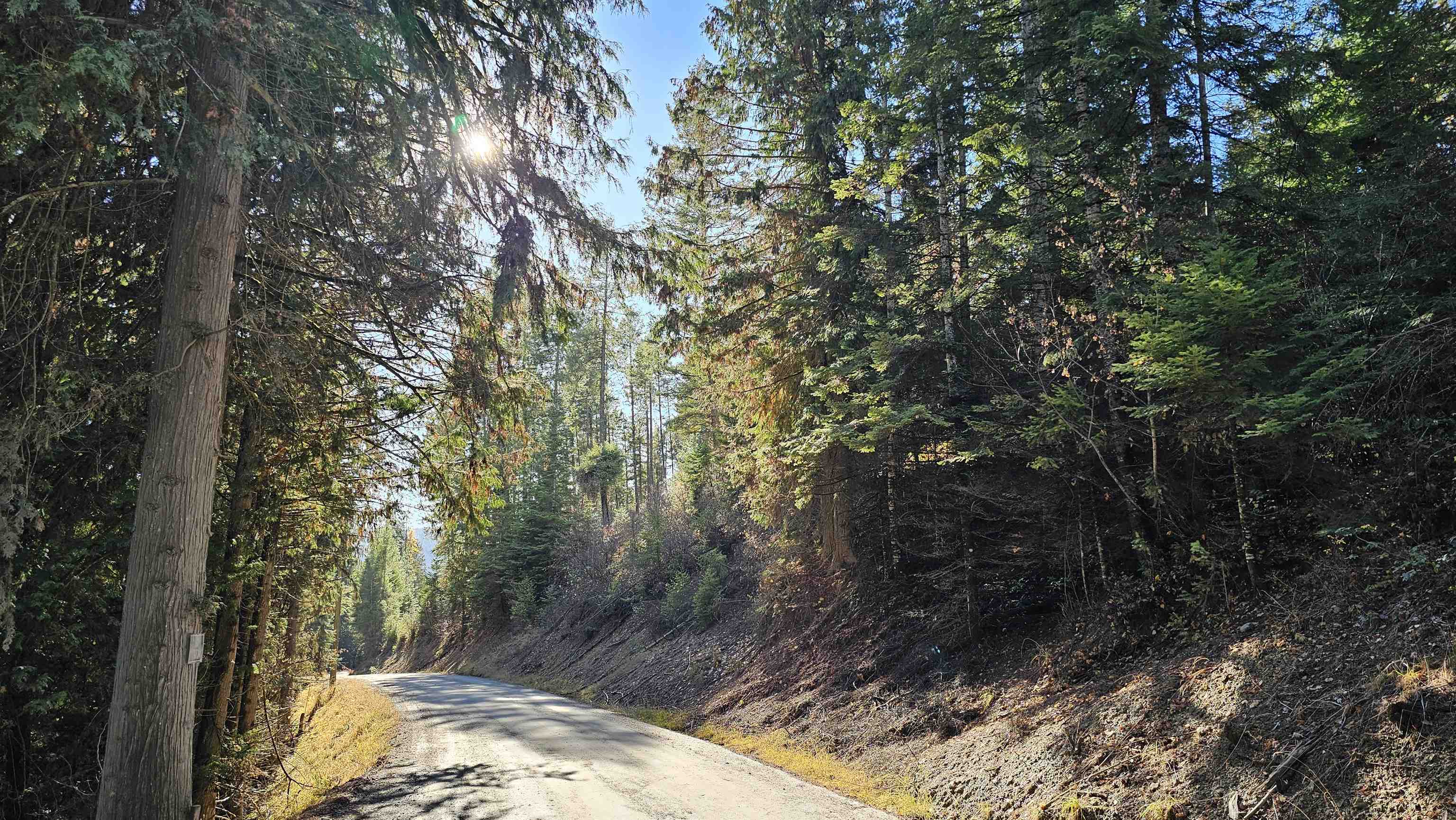 717 B Finley Gulch Road Colville, WA 99114 - Photo 10 of 16