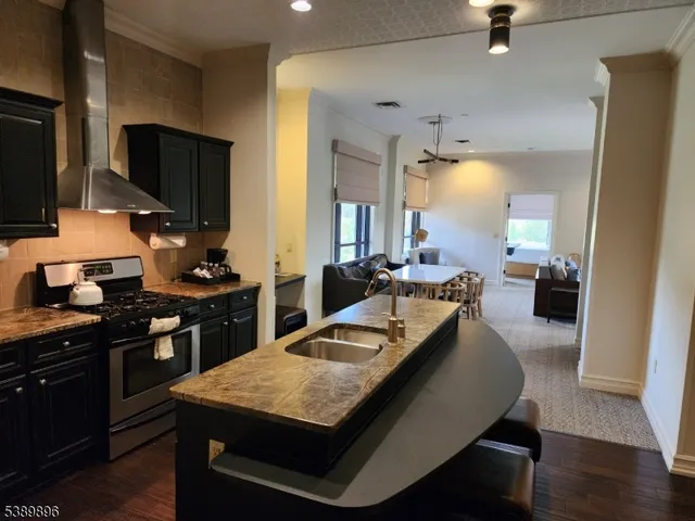 a kitchen with a stove a sink and a refrigerator
