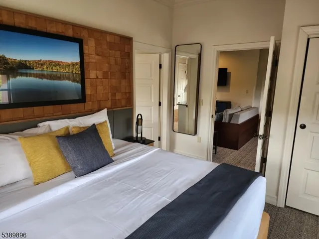 a bedroom with a bed and walk in closet