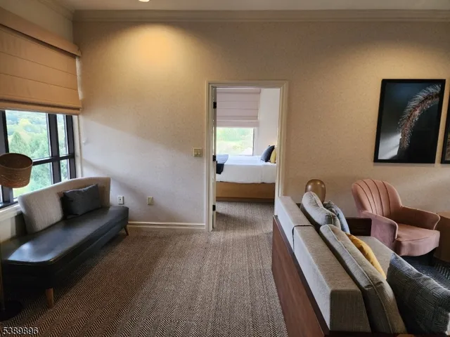 a living room with furniture and a couch