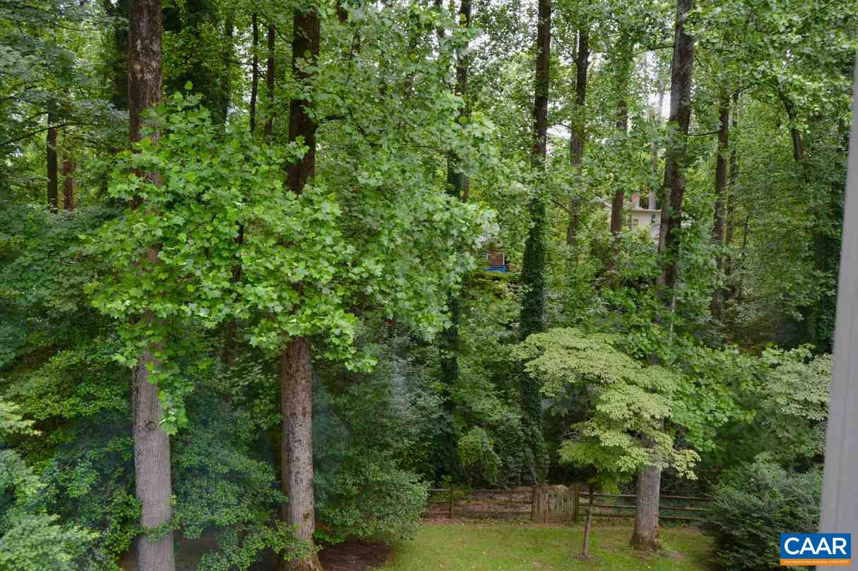 1858 Field Road Charlottesville, VA 22903 - Photo 22 of 34 Gallery Image 22