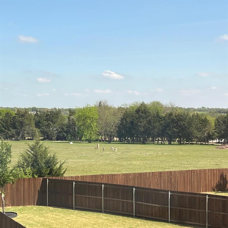 1704 Dunbrook Road McKinney, TX 75071 - Photo 3 of 17