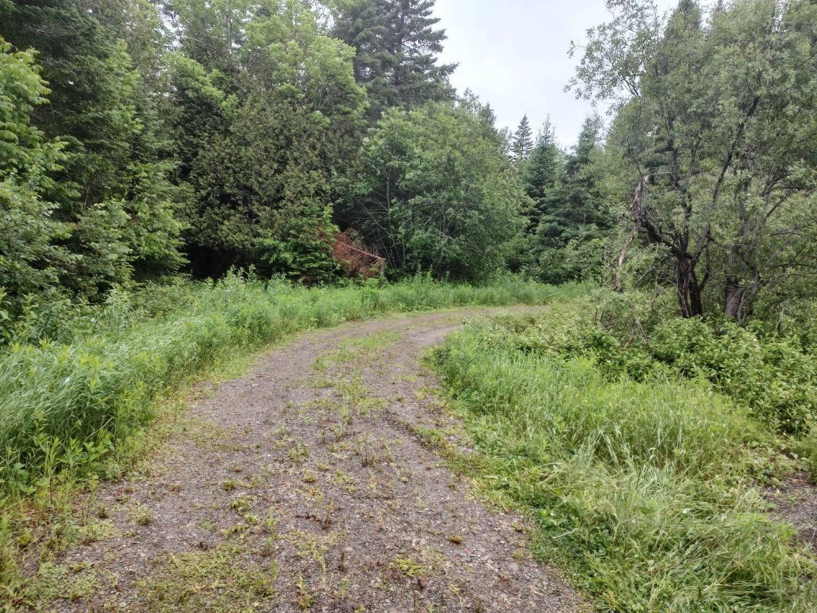 78 Colby Siding Road Woodland, ME 04736 - Photo 1 of 16 234BEA36-483C-4A56-96B4-41AE309538DE
