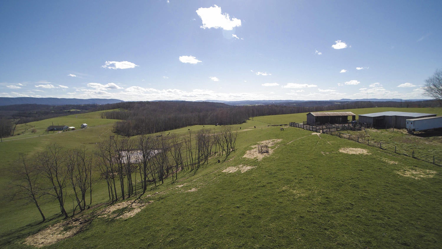 Pine Grove Road Ballard, WV 24918 - Photo 13 of 31 Gallery Image 13