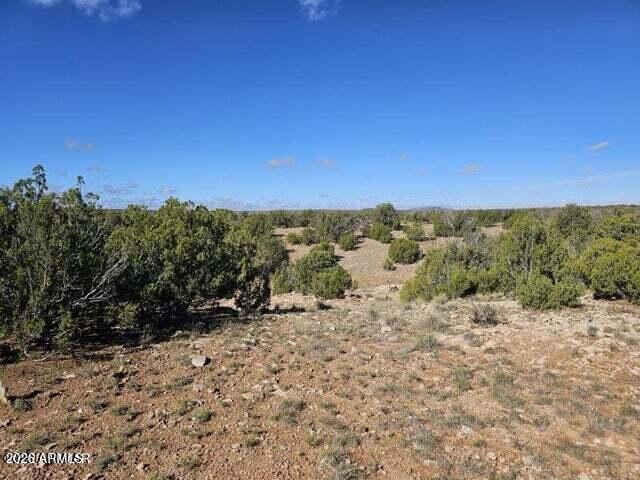 12 T14n R16e:nw4 Ne4 Se4 Heber, AZ 85928 - Photo 2 of 4 2