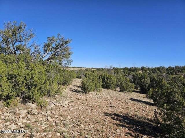 12 T14n R16e:nw4 Ne4 Se4 Heber, AZ 85928 - Photo 3 of 4 3