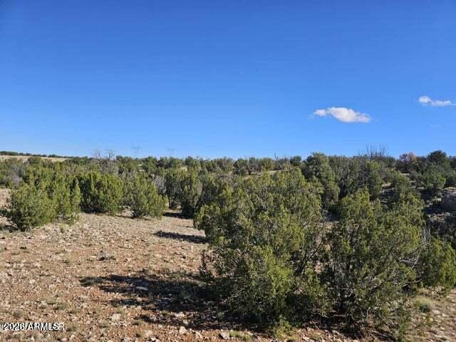 12 T14n R16e:nw4 Ne4 Se4 Heber, AZ 85928 - Photo 4 of 4 4