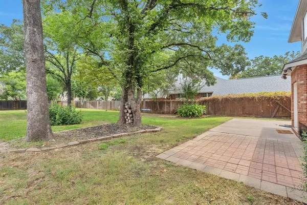 a view of a yard with plants and a trees