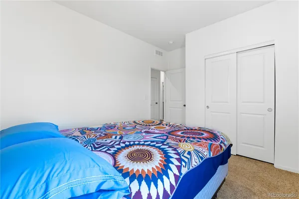 a bedroom with a bed and a closet