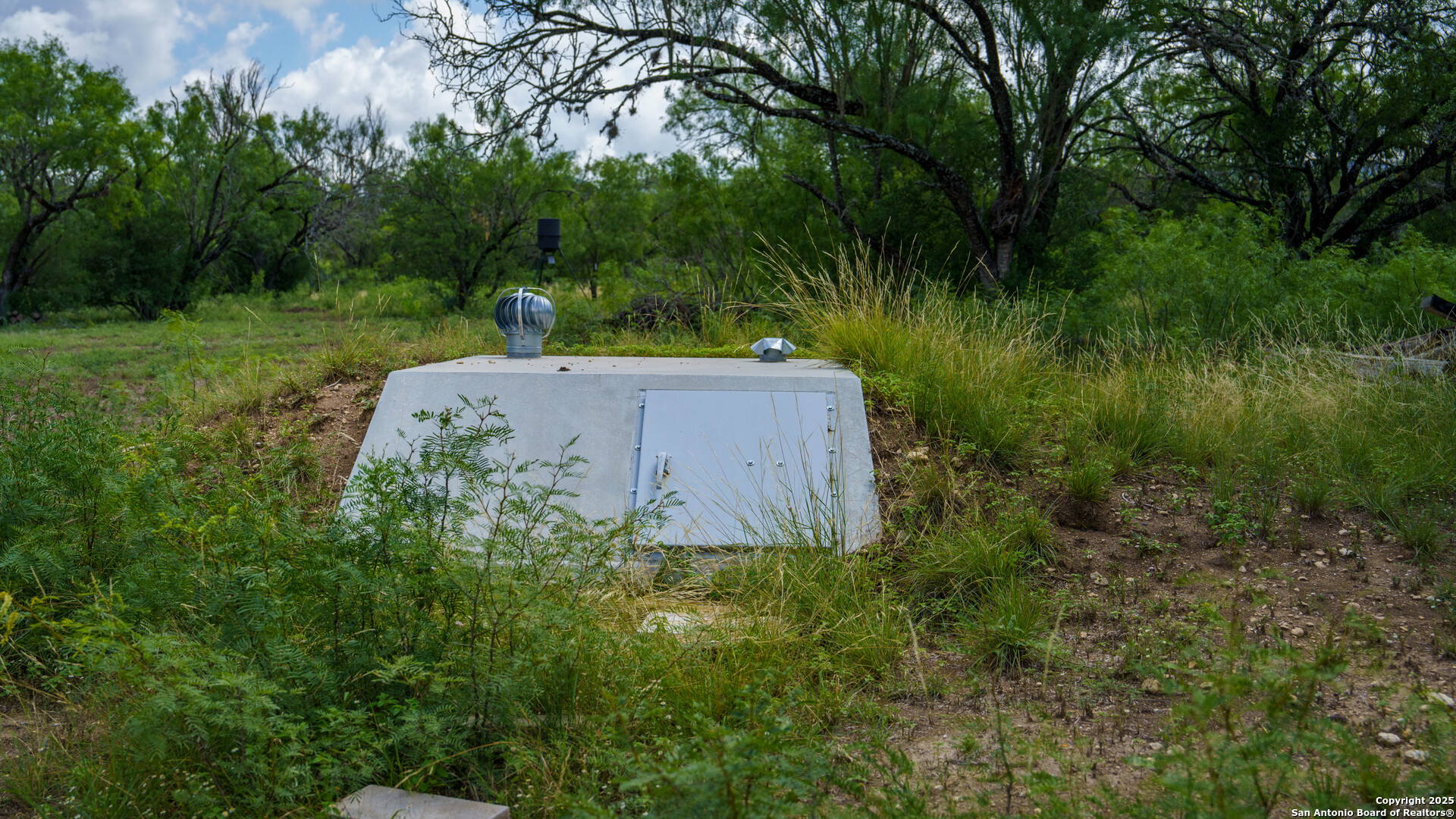 1231 B & R Road Vanderpool, TX 78885 - Photo 8 of 26 a view of a back yard