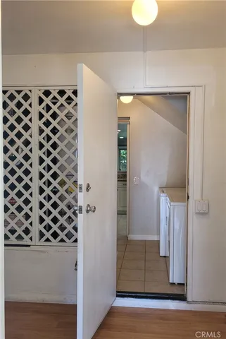 a view of a garden with plants and large trees