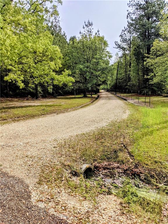 0 Lavinghouse Road Bush, LA 70431 - Photo 12 of 16 Gallery Image 12