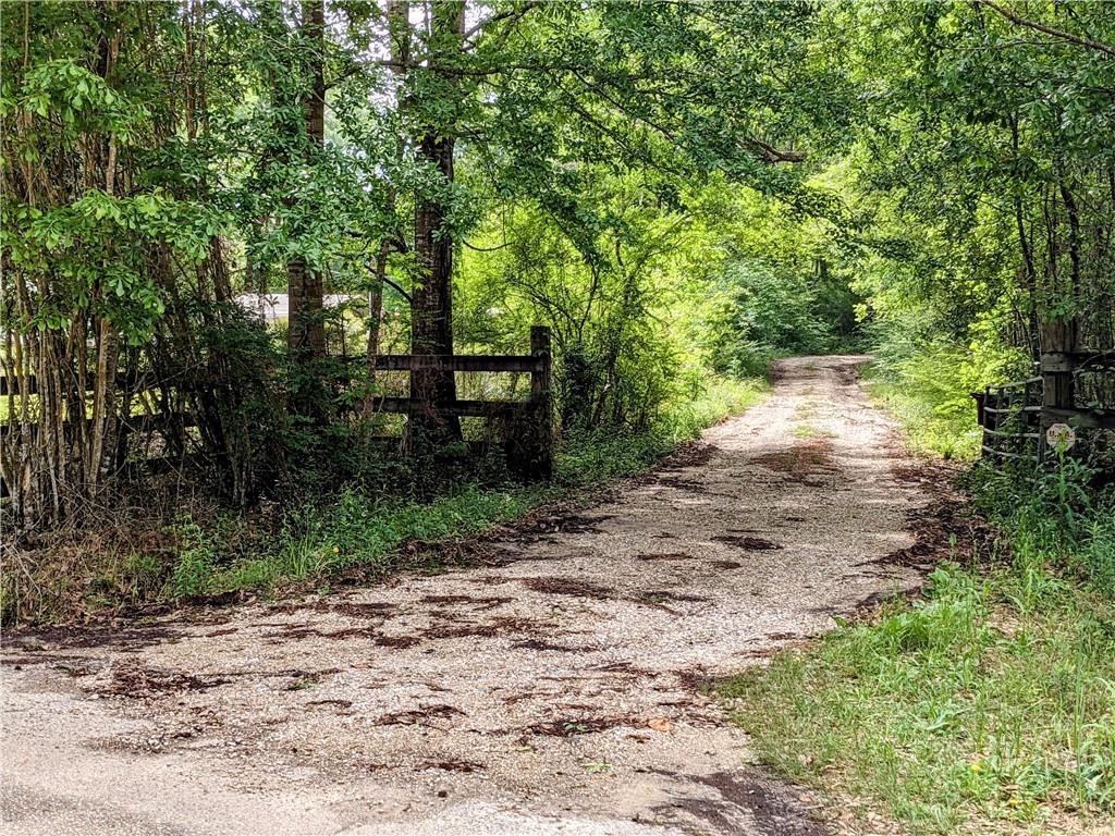 0 Lavinghouse Road Bush, LA 70431 - Photo 6 of 16 Gallery Image 6