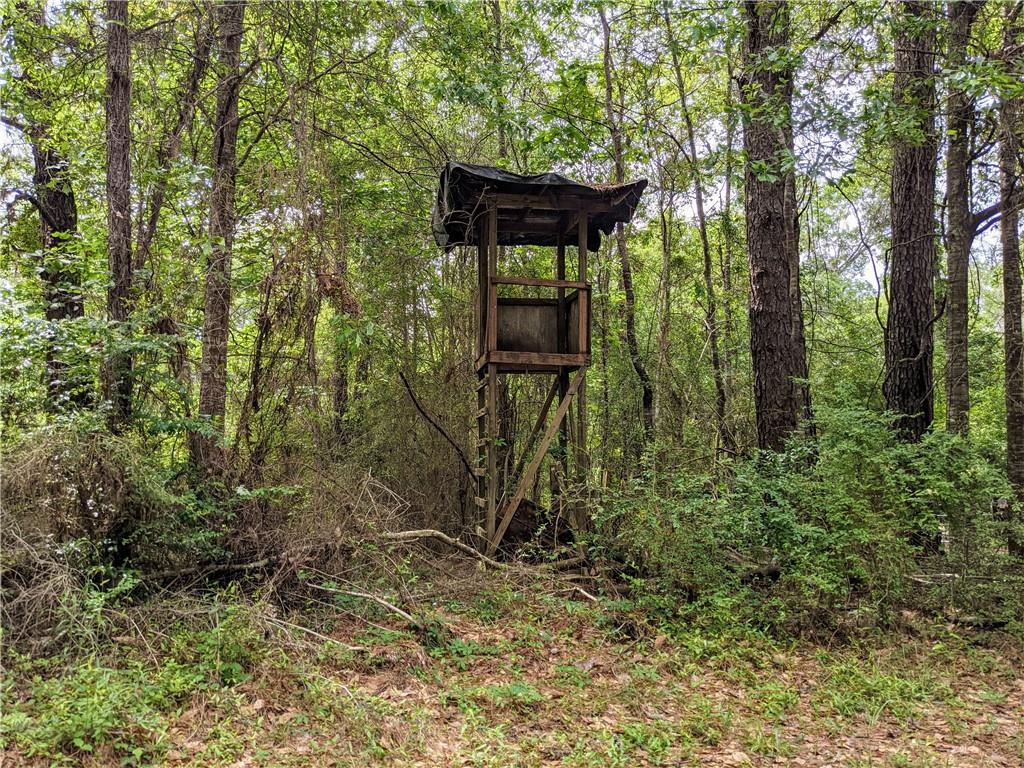 0 Lavinghouse Road Bush, LA 70431 - Photo 8 of 16 Gallery Image 8