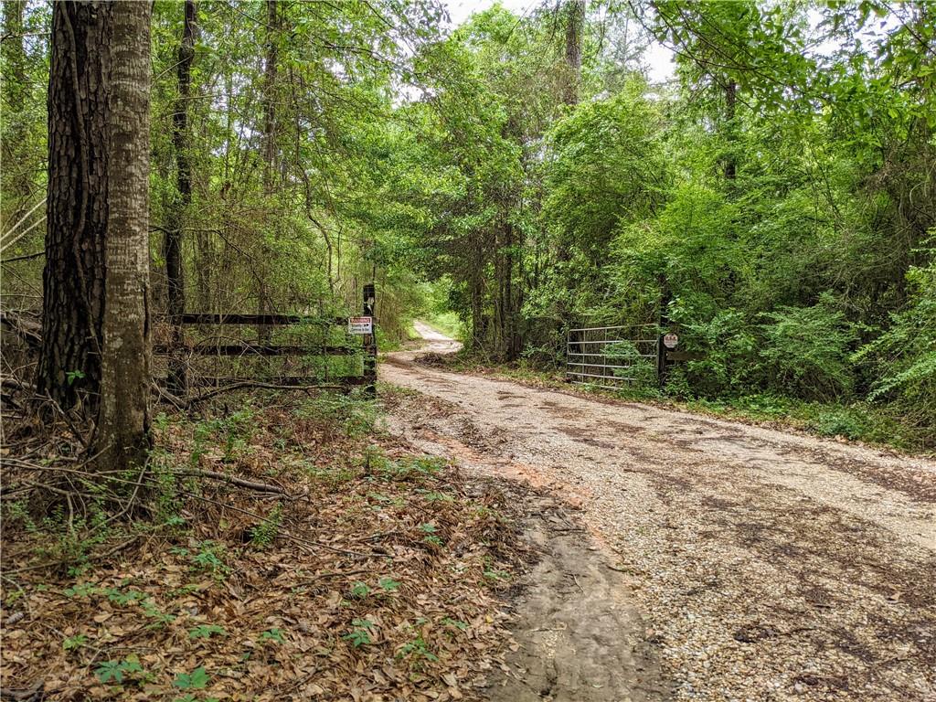 0 Lavinghouse Road Bush, LA 70431 - Photo 9 of 16 Gallery Image 9