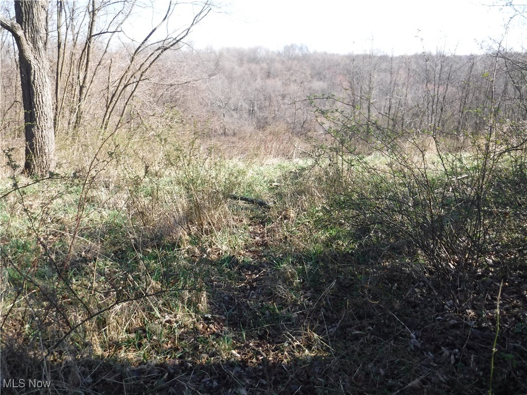 3680 Flint Ridge Road Hopewell, OH 43746 - Photo 34 of 50 Deer trail leading into large brushy valley field.