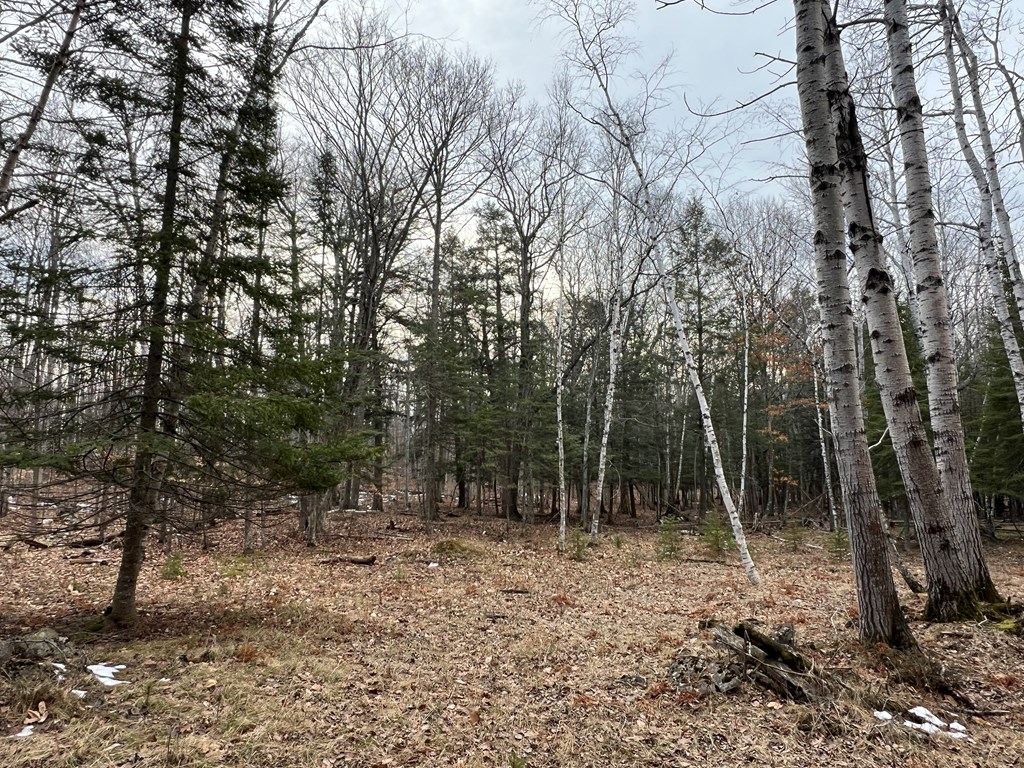 Tbd Jackson Harbor Road Washington Island, WI 54246 - Photo 6 of 6