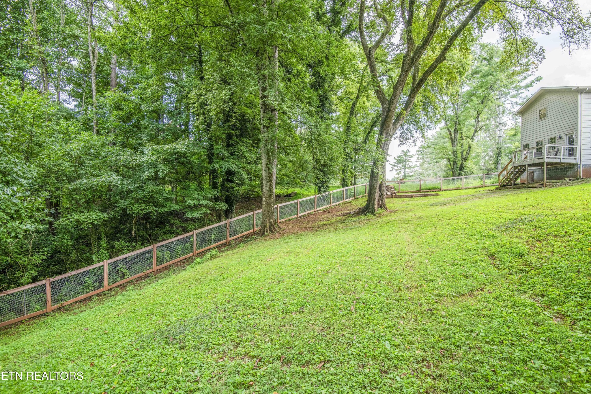 1932 Duncan Road Knoxville, TN 37919 - Photo 57 of 60 Gallery Image 57