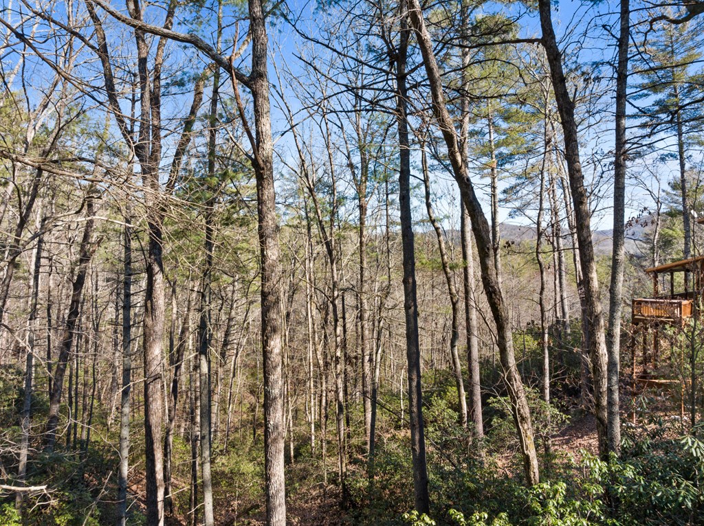 16 Dean Court Blue Ridge, GA 30513 - Photo 17 of 19