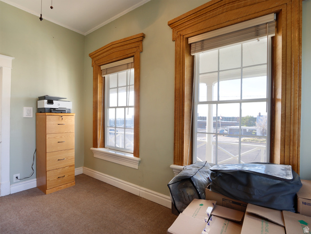 155 West Center Street Fillmore, UT 84631 - Photo 47 of 86 Dual pane windows featuring detailed wood trim and natural light, complemented by light green walls and plush carpeting