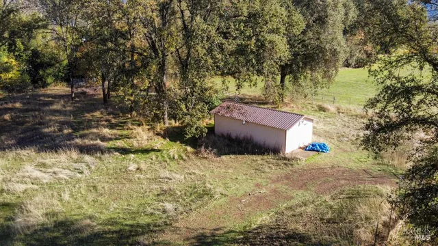 a view of a yard with trees