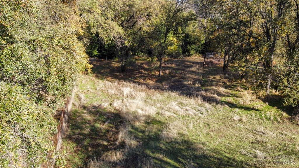 1540 Rd D Redwood Valley, CA 95470 - Photo 12 of 42 a view of a yard with trees
