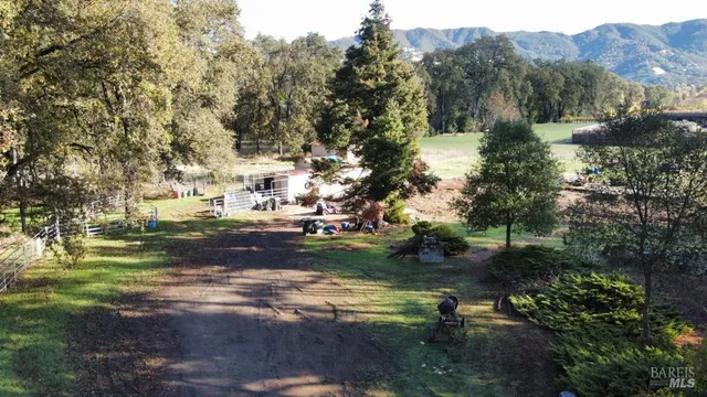 a view of road and trees