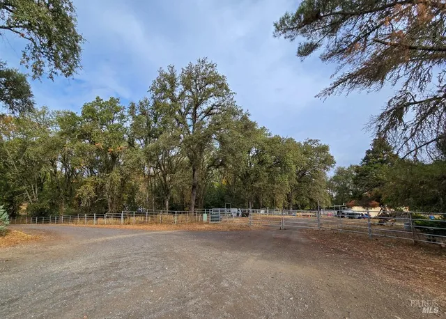 a view of a yard with wooden fence