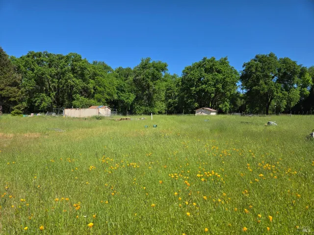 a view of yard with swimming pool and trees in the background