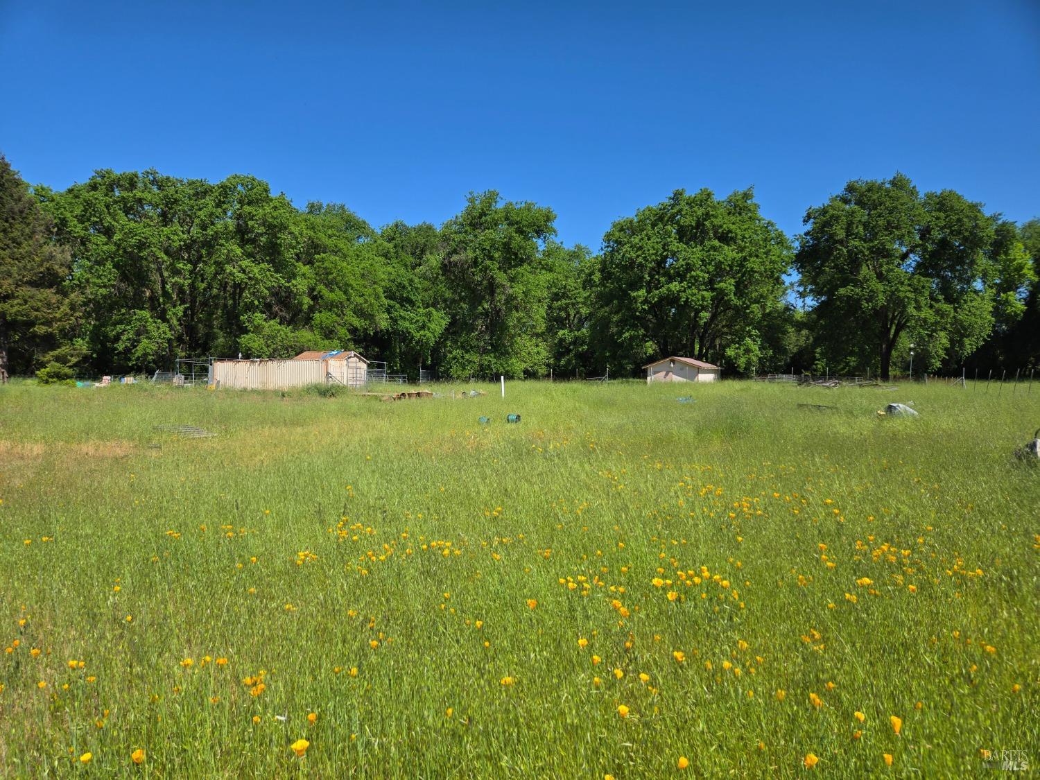 1540 Rd D Redwood Valley, CA 95470 - Photo 2 of 42 a view of yard with swimming pool and trees in the background