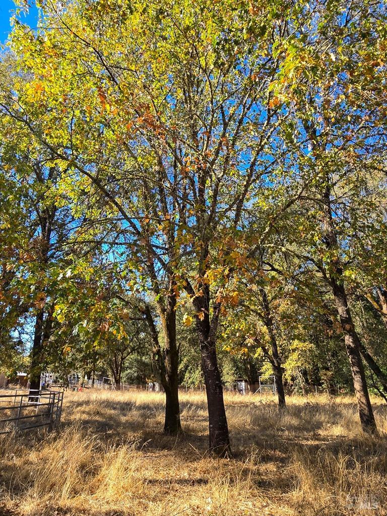 1540 Rd D Redwood Valley, CA 95470 - Photo 22 of 42