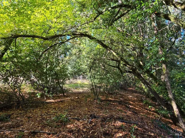 a view of outdoor space with trees