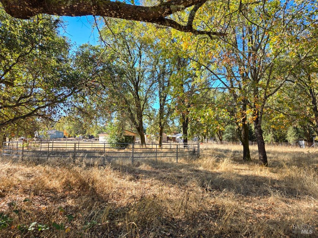 1540 Rd D Redwood Valley, CA 95470 - Photo 25 of 42 a view of yard with trees