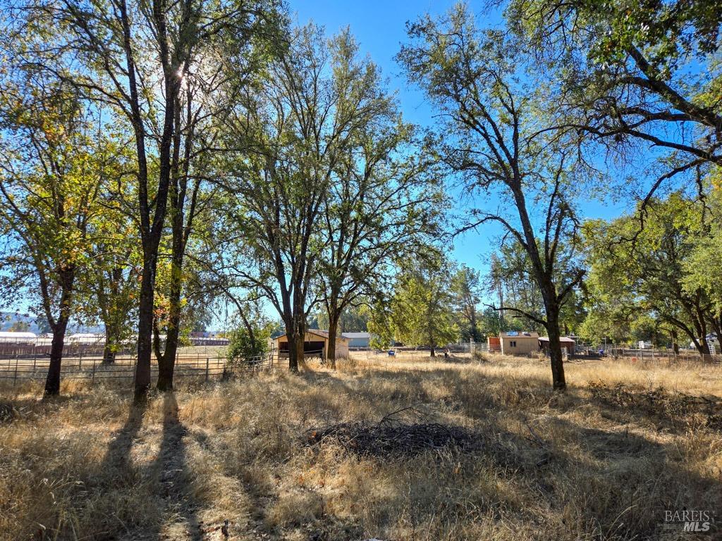 1540 Rd D Redwood Valley, CA 95470 - Photo 26 of 42 a view of outdoor space with trees