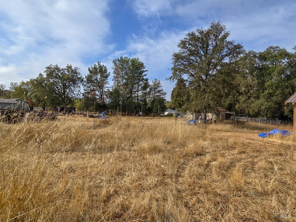 1540 Rd D Redwood Valley, CA 95470 - Photo 29 of 42 a view of yard with trees
