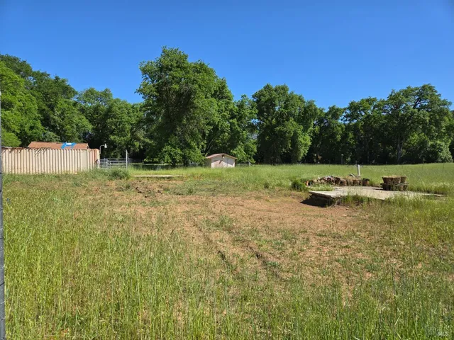 a view of a field with lots of bushes and trees