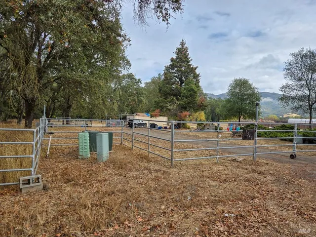 a view of a yard with a trees