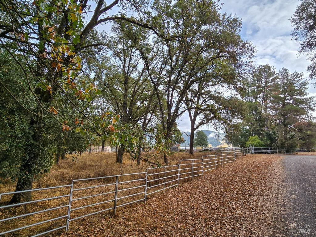 1540 Rd D Redwood Valley, CA 95470 - Photo 38 of 42 a view of backyard with wooden fence and large trees
